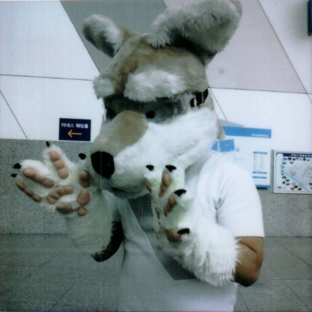 Wolfpaw Terria