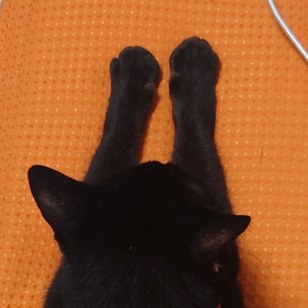 とーる。