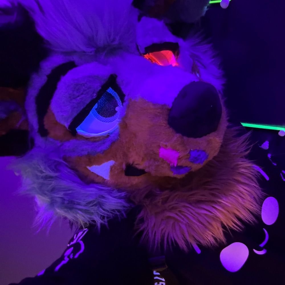 RexTheFluffyPuppy
