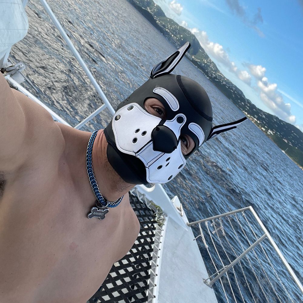 Good boy Rambo