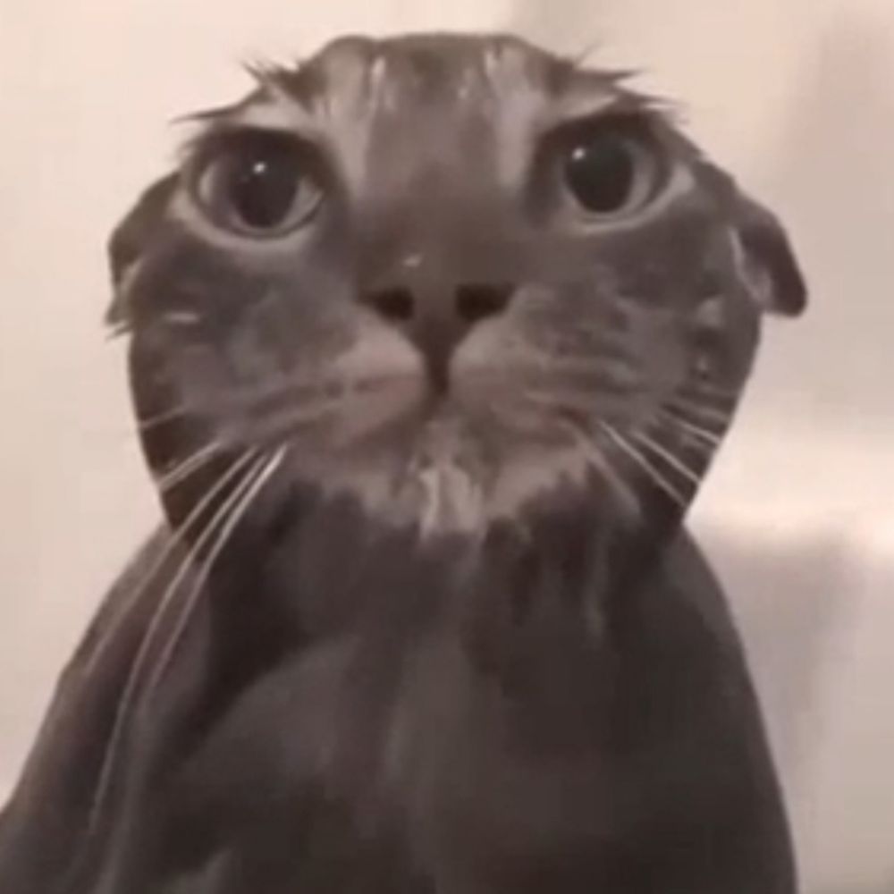 かにめし