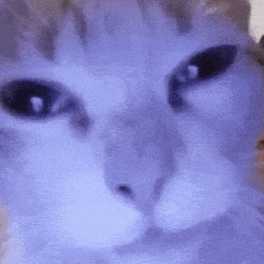 mochi