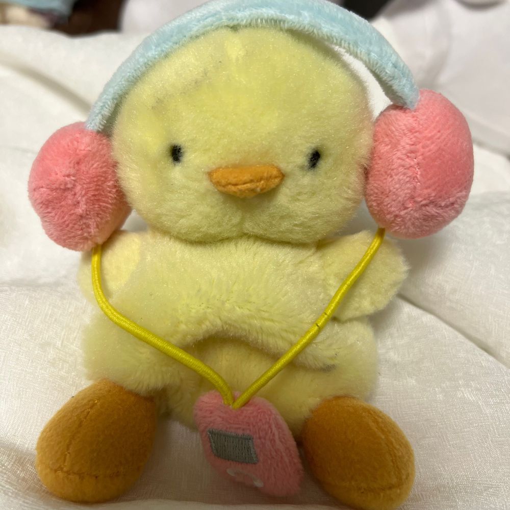 디용