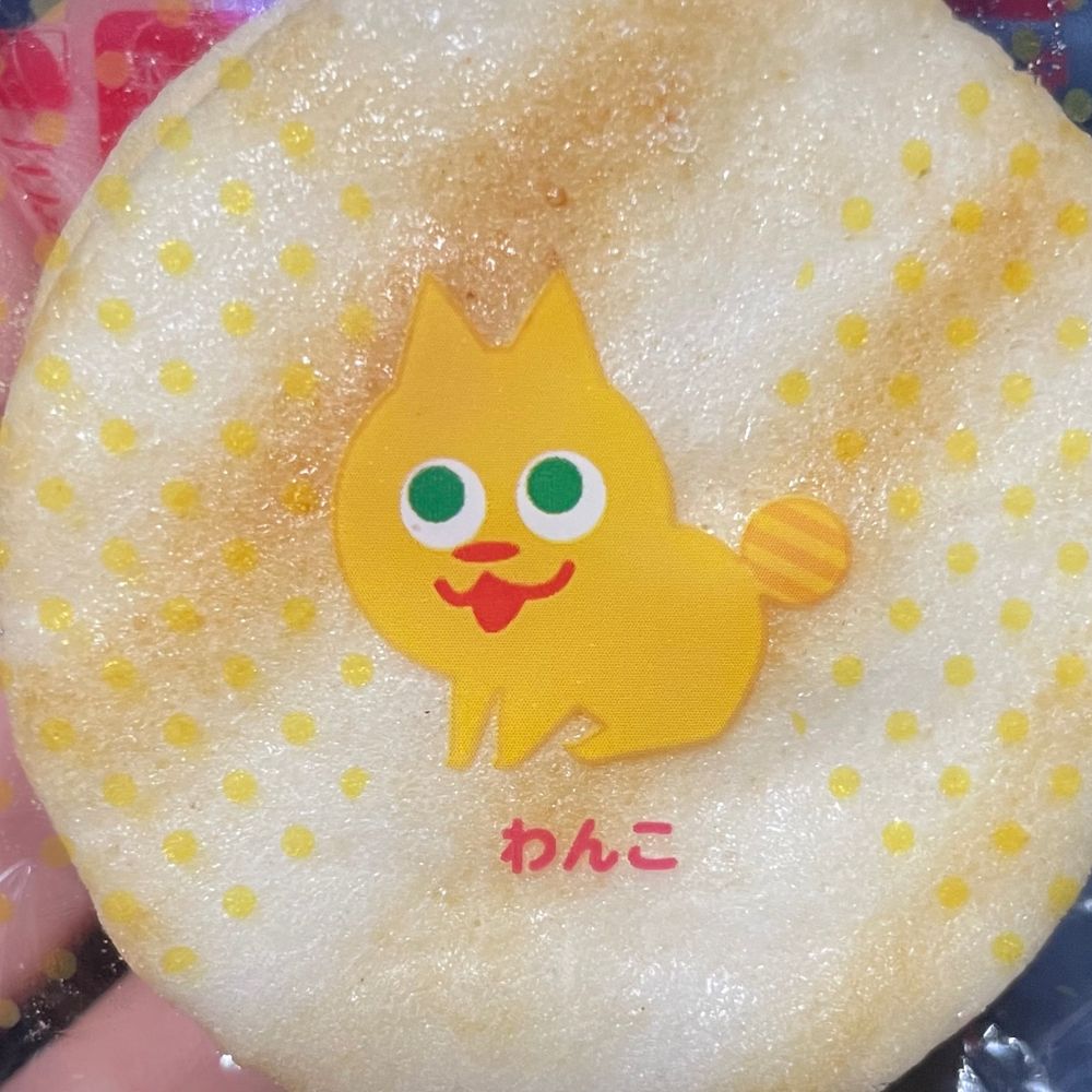 さかなくん