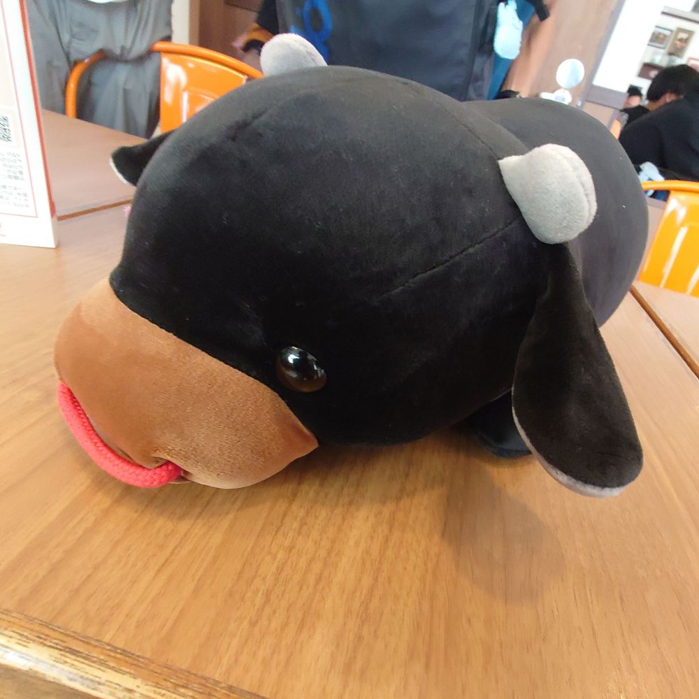 あむきんますたぁ