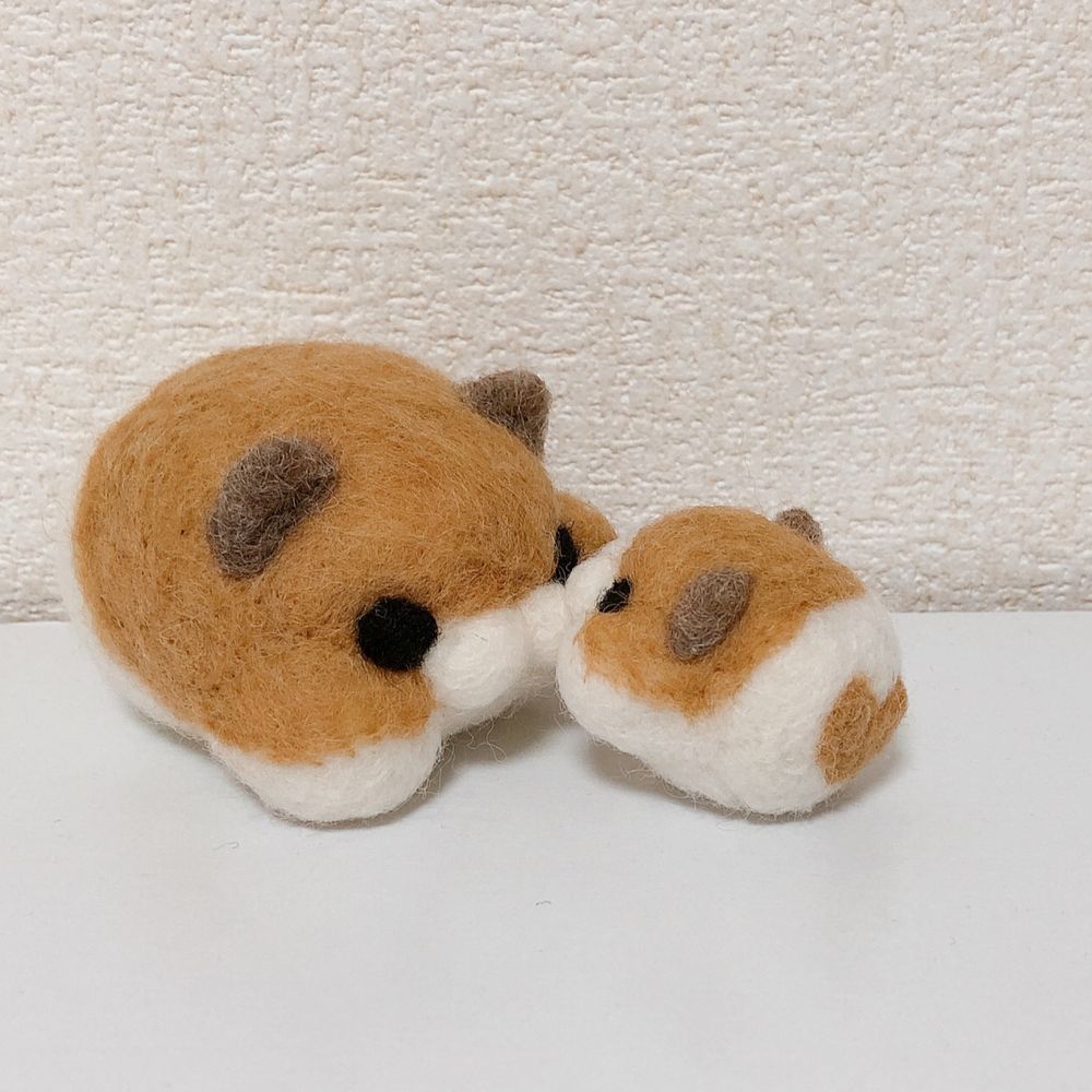すこ