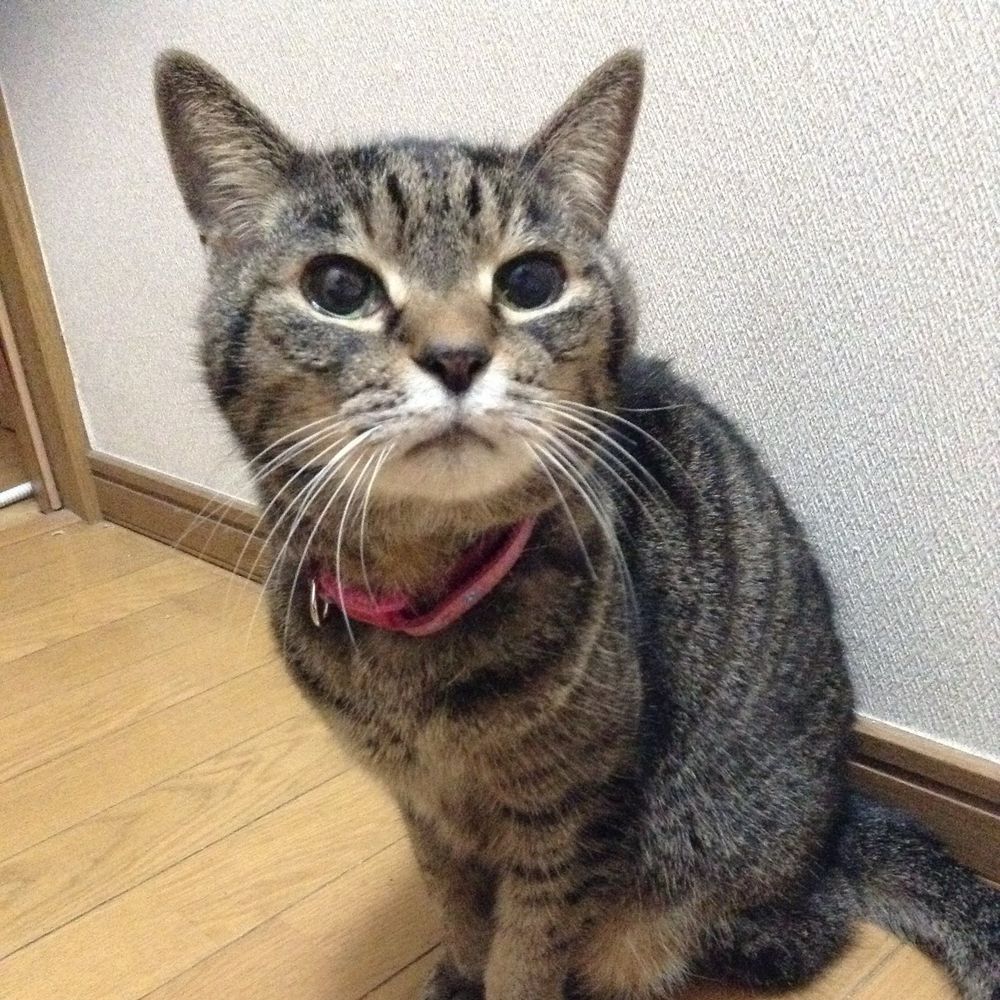 大野和寿　OHNO,Kazuhisa