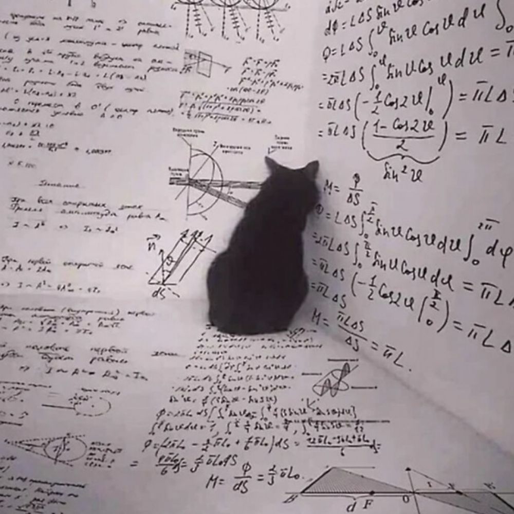 Gravity