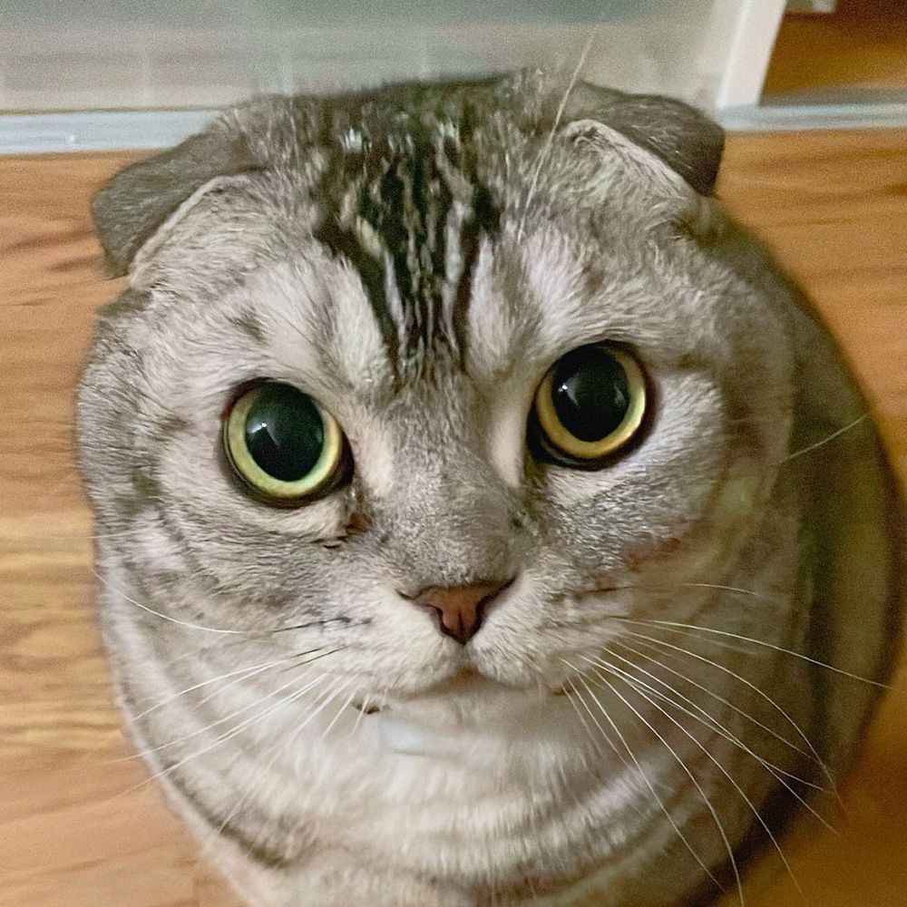 ﾊﾅｧｧｧ ﾕｷｨｨｨ