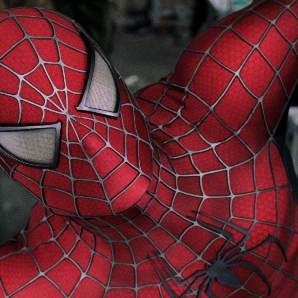 Spiderbro590