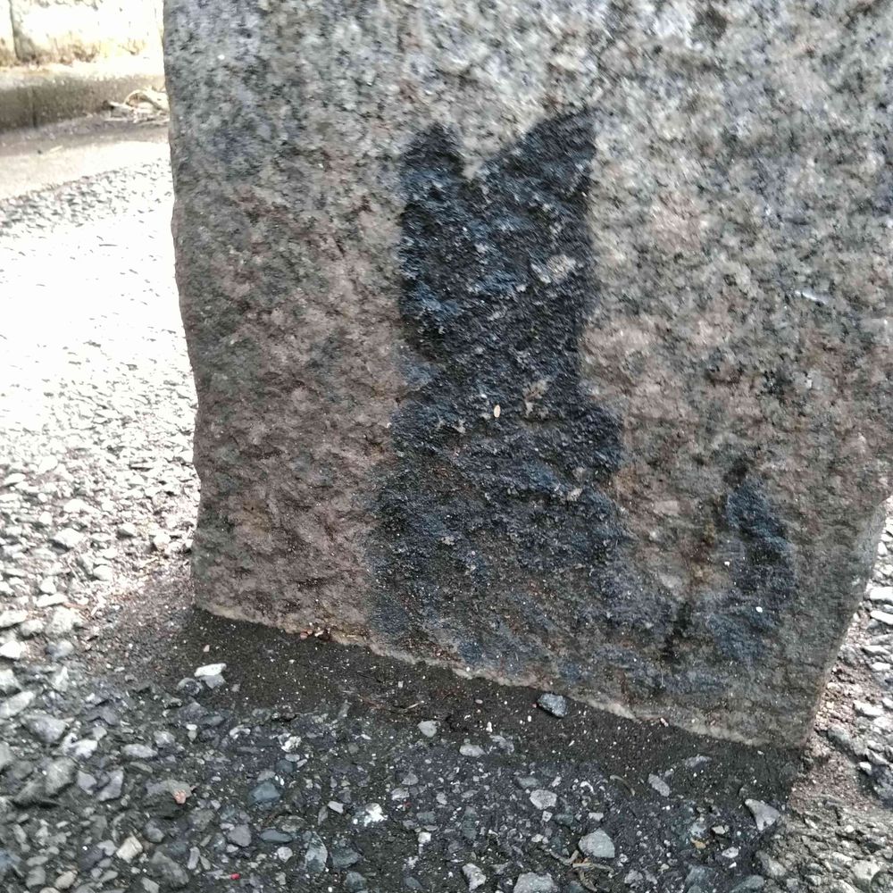 はっち
