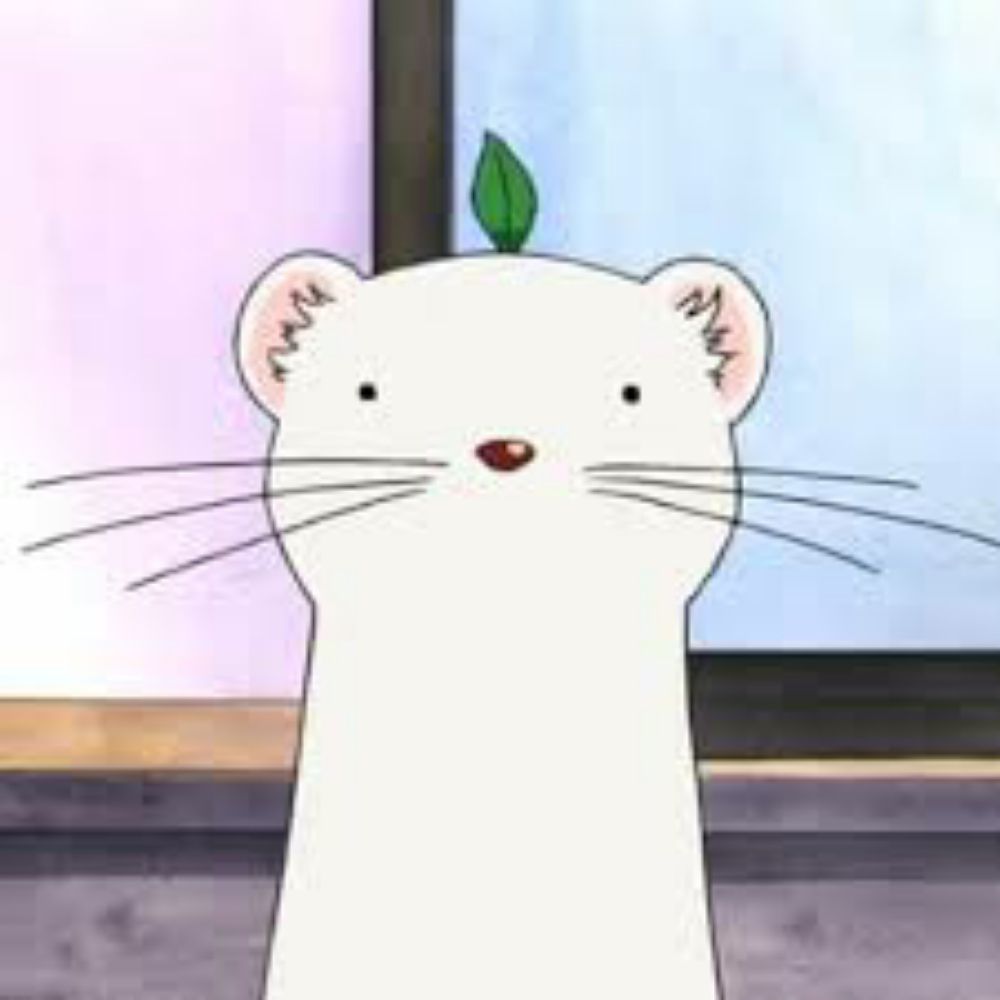 아꿍