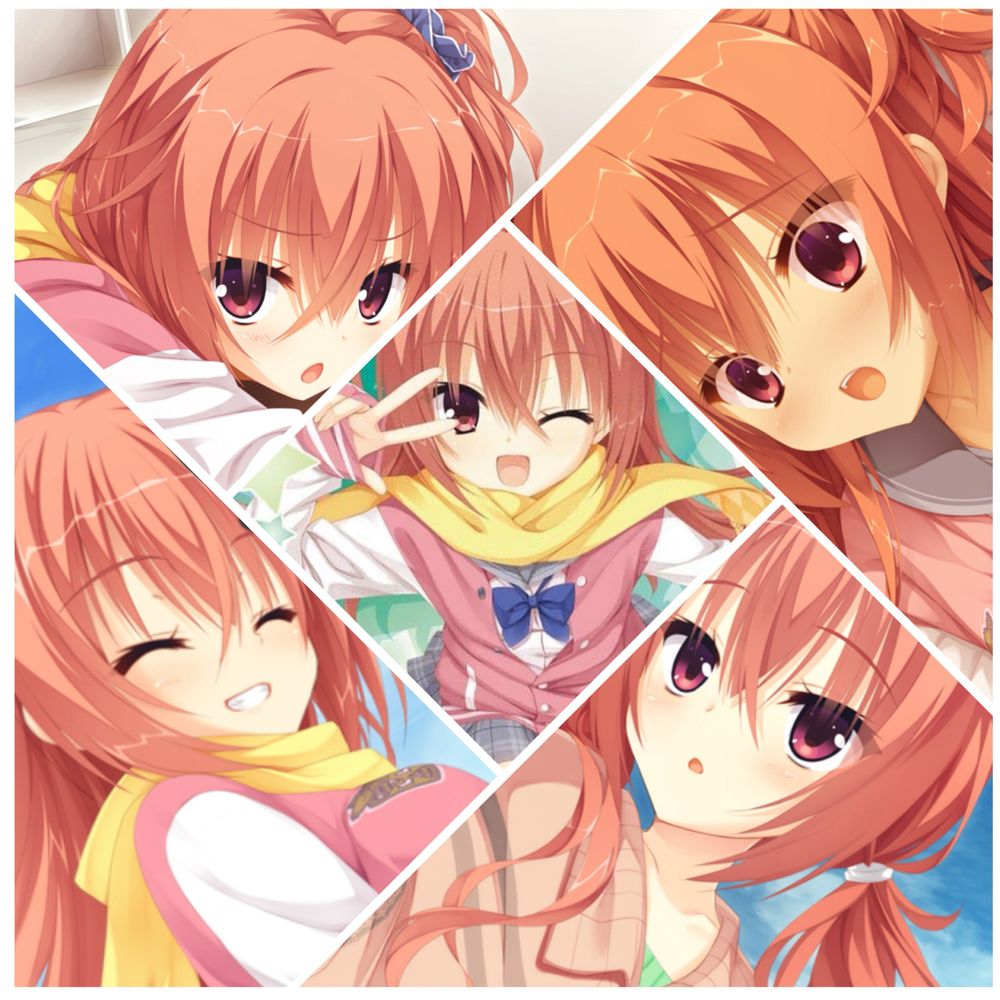 アピスト