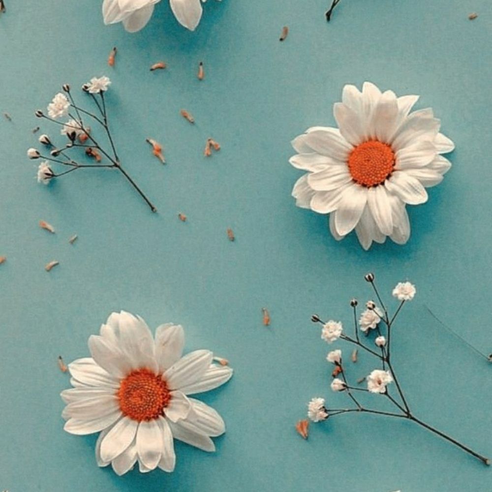 Jasmin