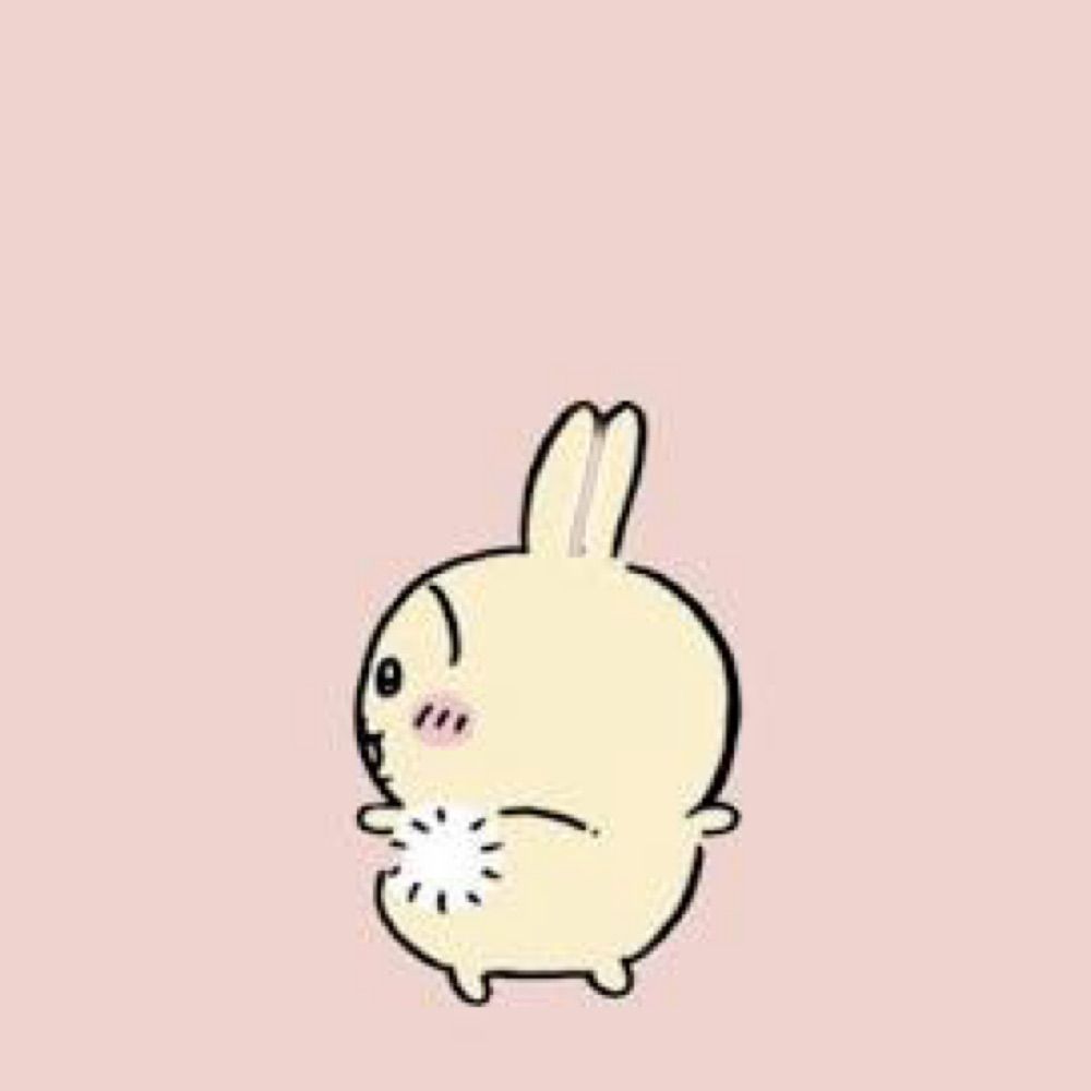 ぷくうさ🎀