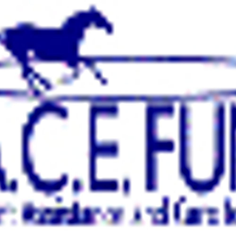 R.A.C.E. Fund, Inc. 