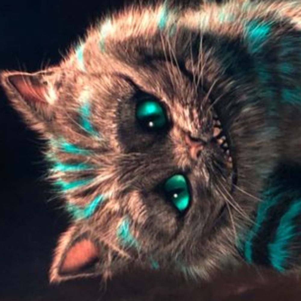 Kyle! 😺✨