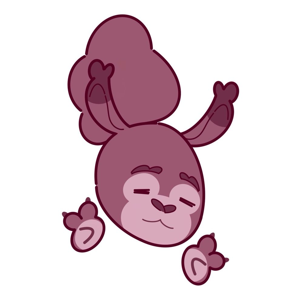 Nicowo coms close