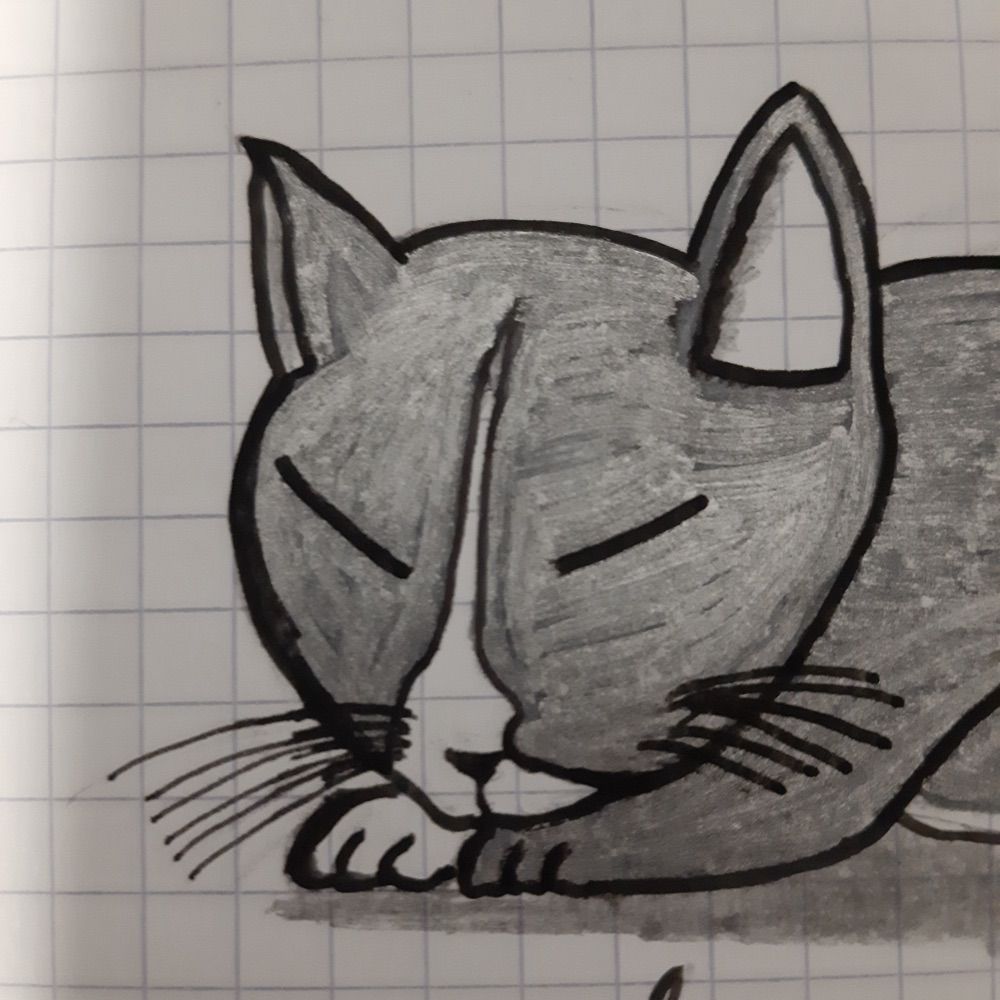 Paco