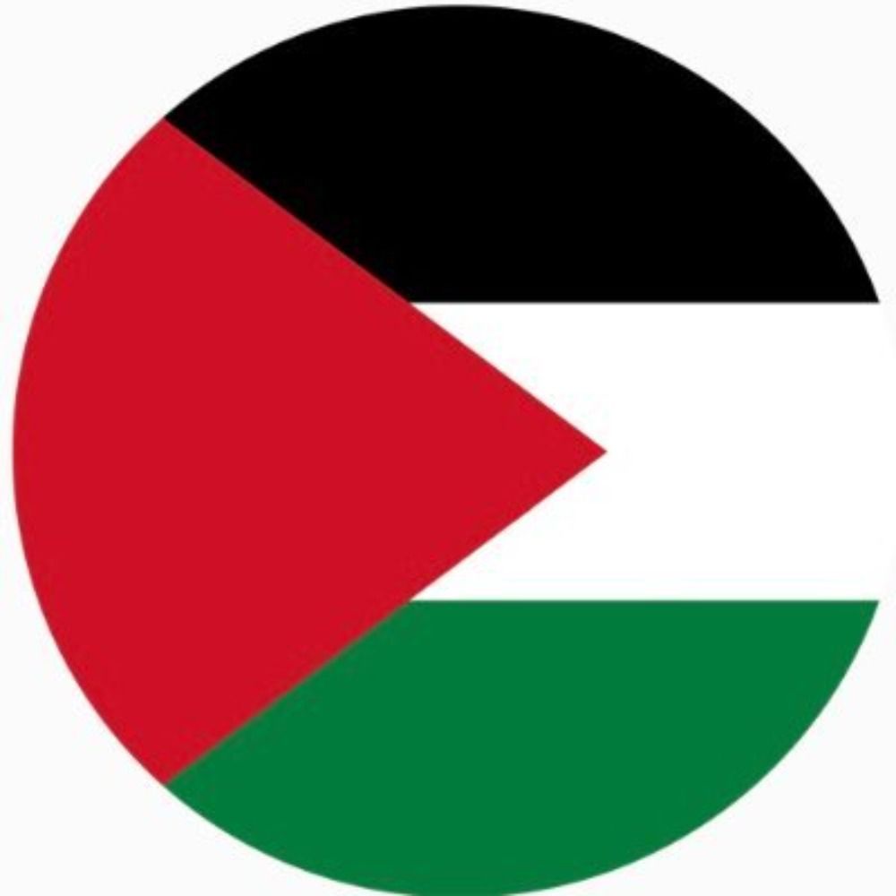 Jimmy Hollis i Dickson 🐸🇵🇸 BDS NOW!🍉💜🌍🌎🌏🖋️📖📚📘's avatar