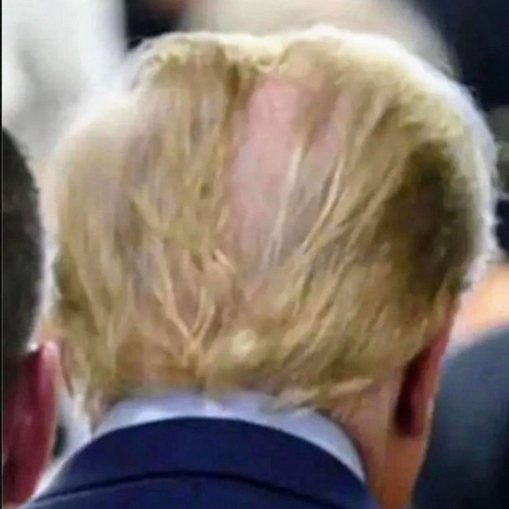 Days of Trump 🤖