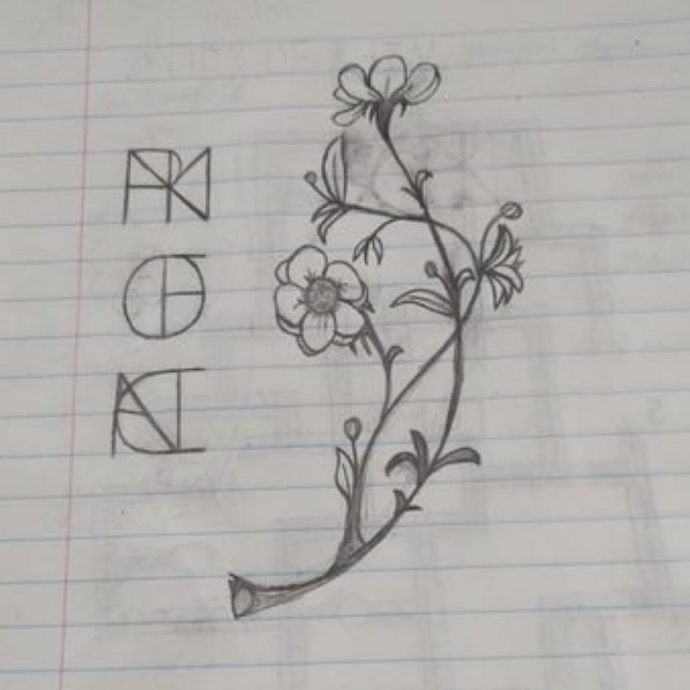 Null Amor
