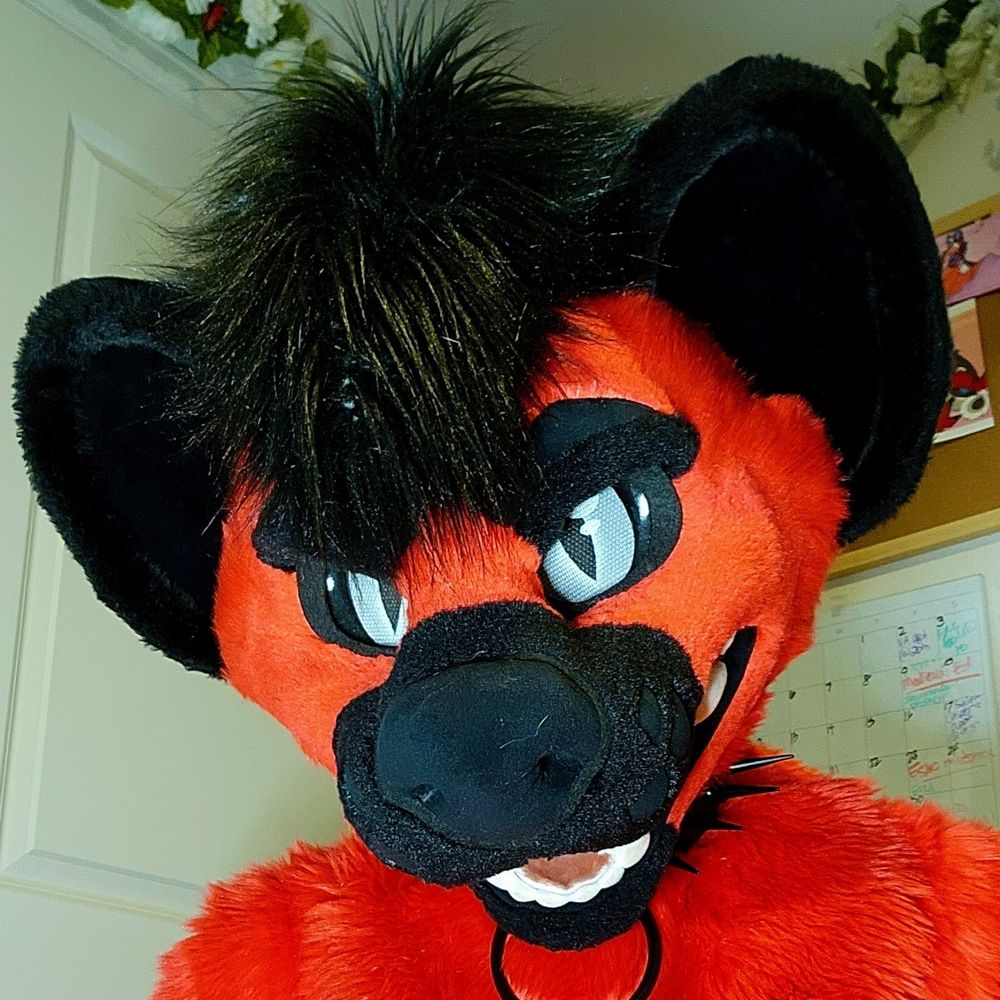 BITEY BOY