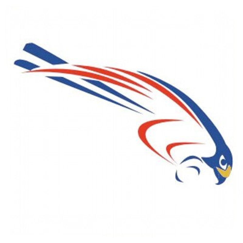 Rfalconcam