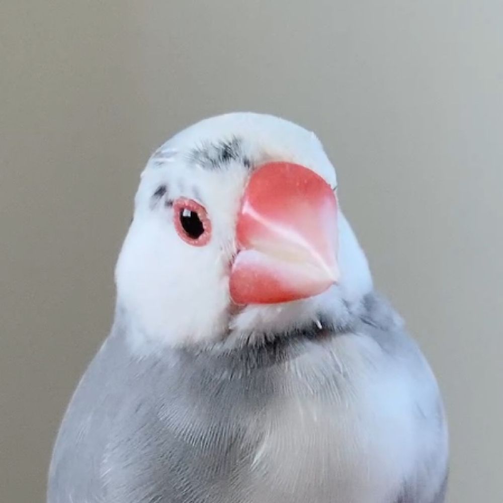 ささづ