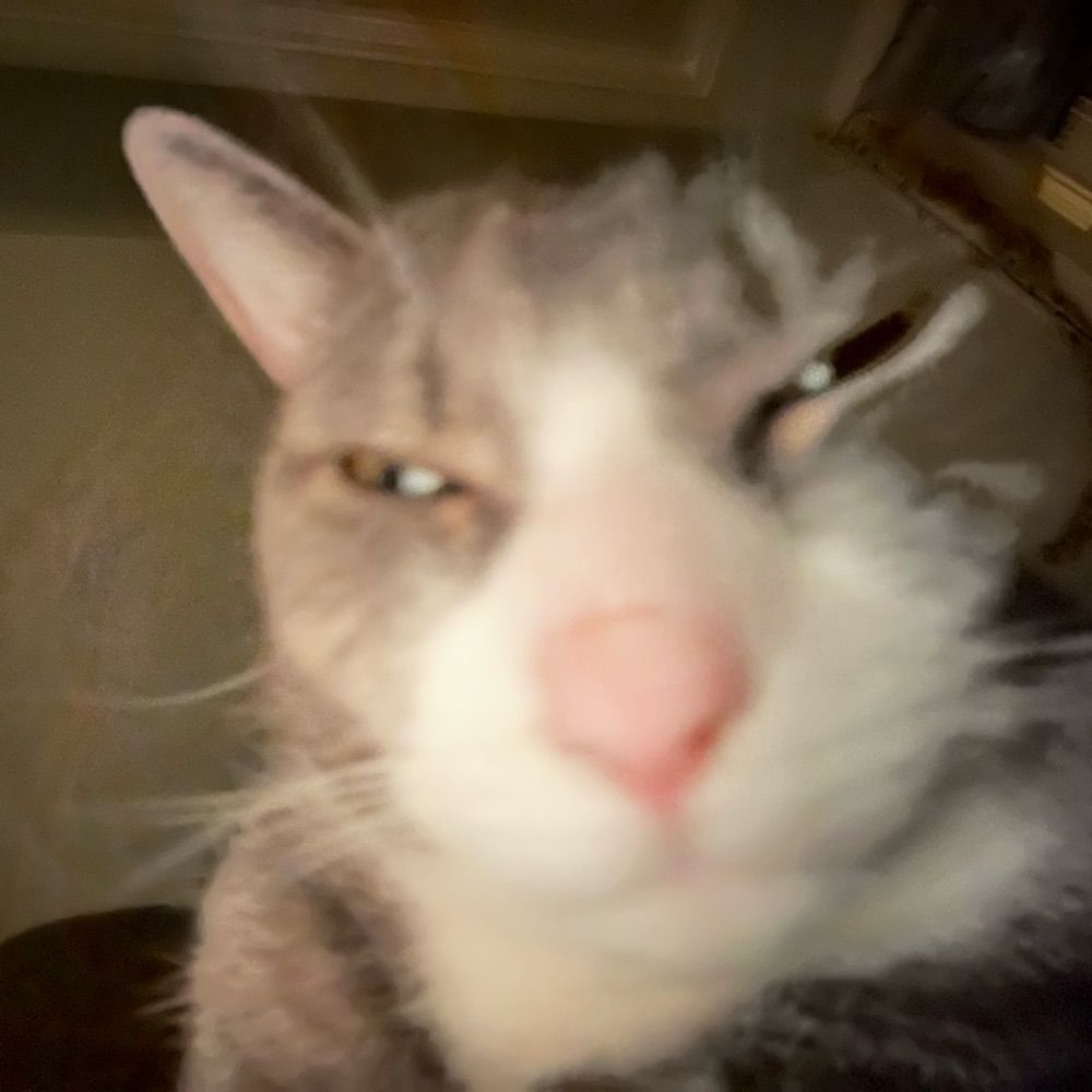 skaht