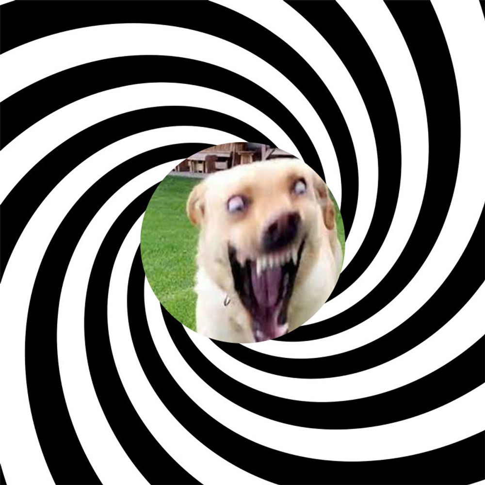 Rabid Dog Hypnosis