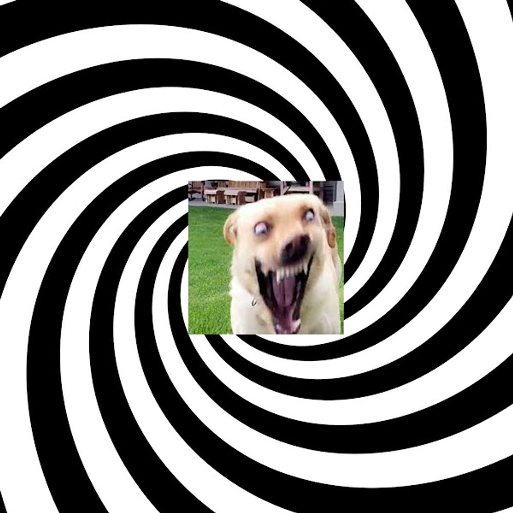 Rabid Dog Hypnosis