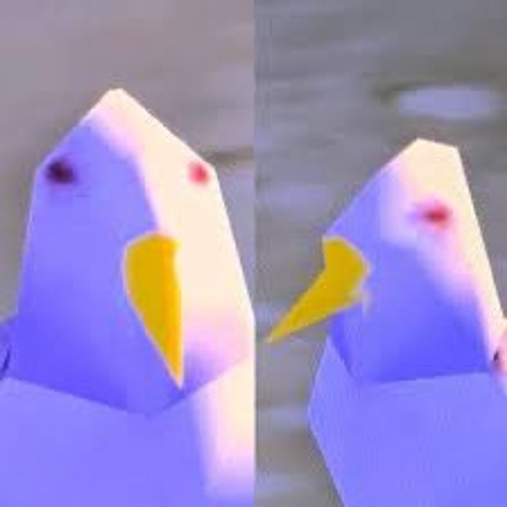 🔒이끼끼