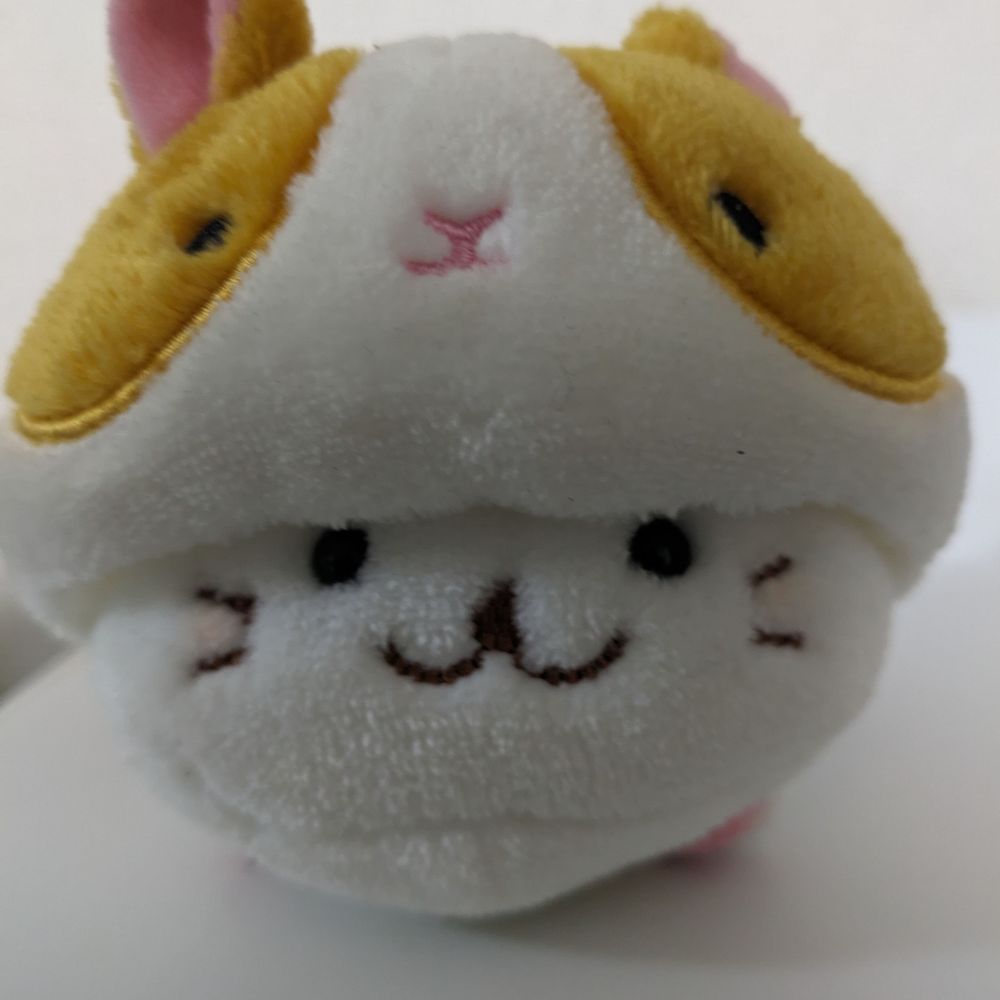 しろたんハム🐹🦭