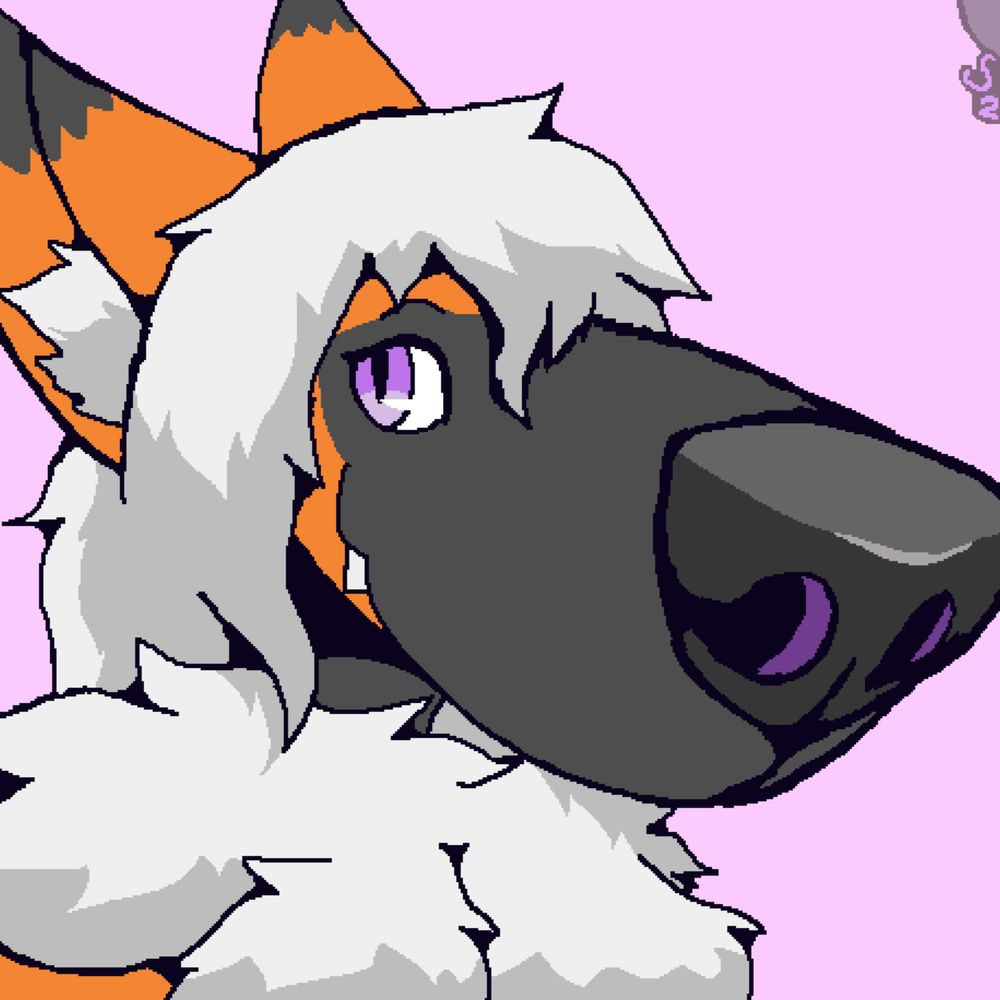 Snout