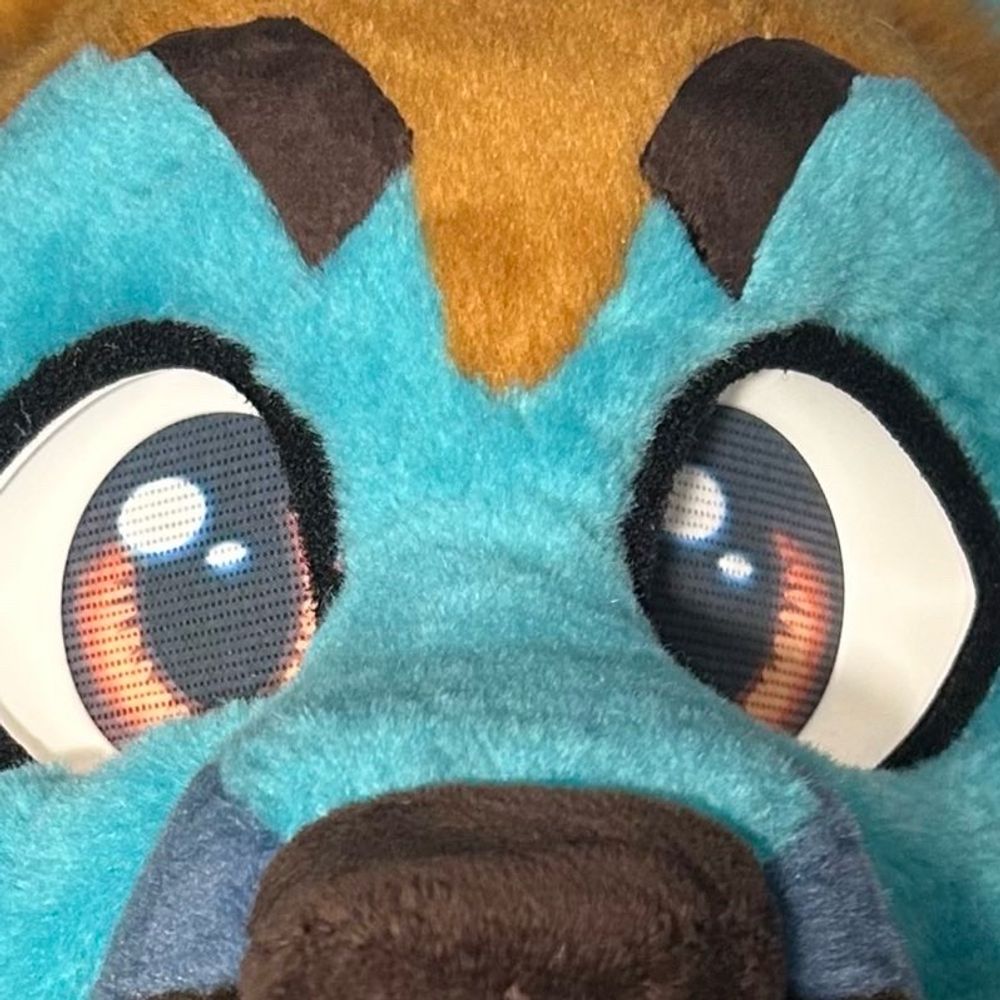 Lakeside Shep