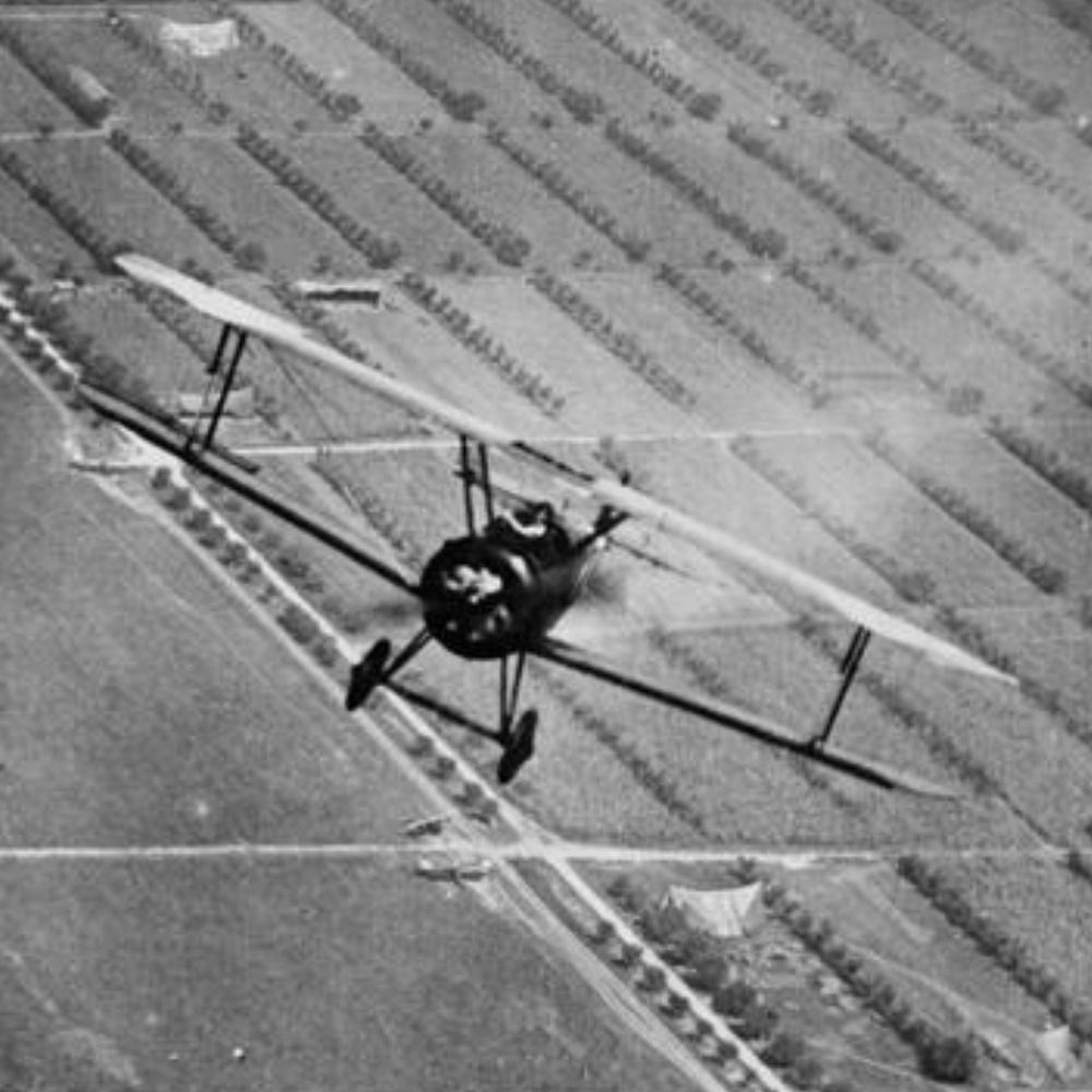 First World War in the Air