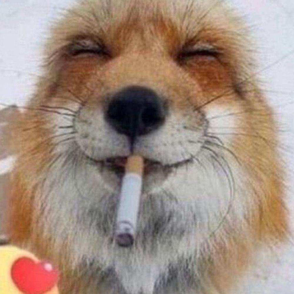 🚬🥴