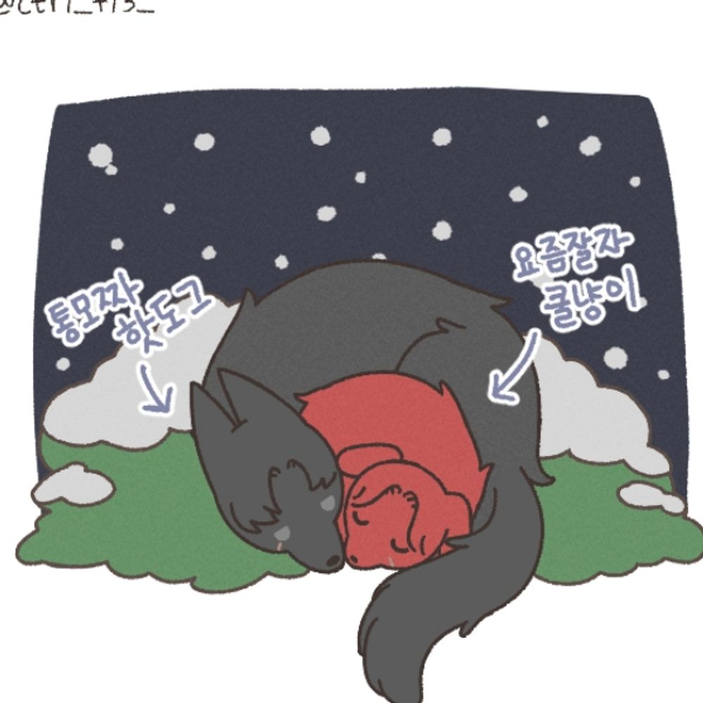 부리또