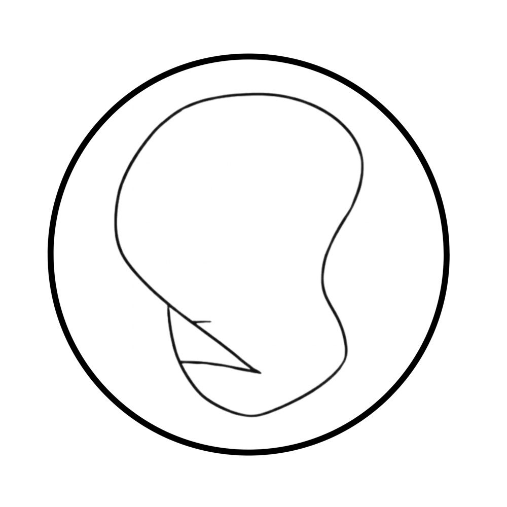XefPèrfid