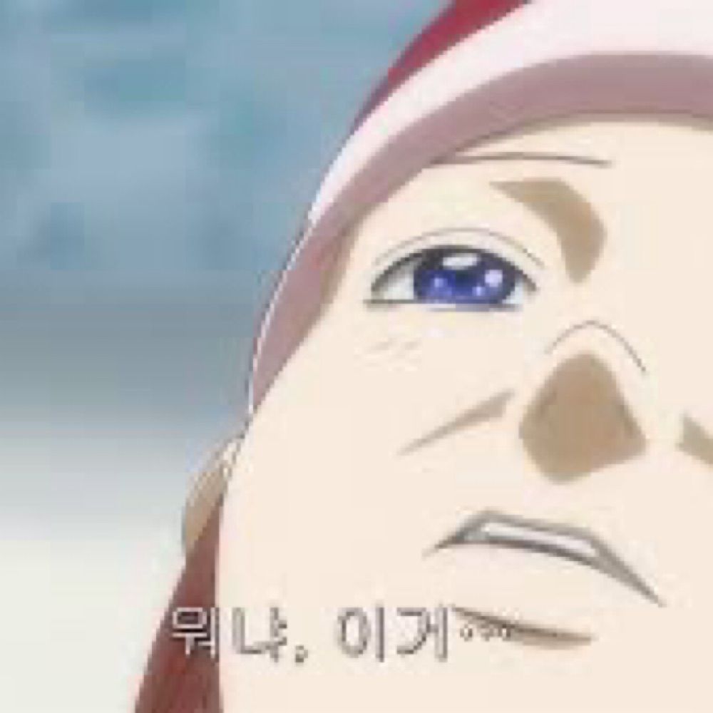 샷