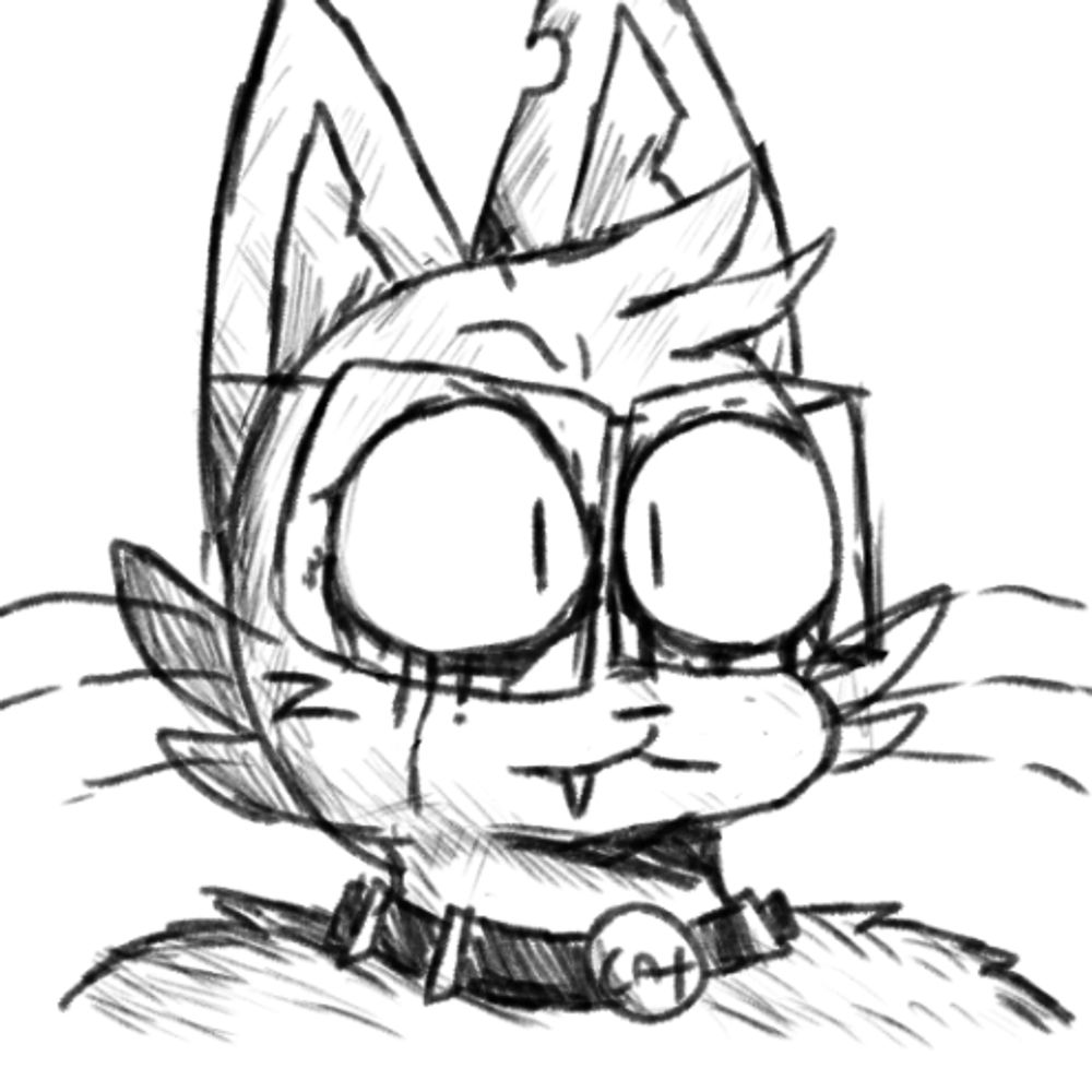 The Meowr