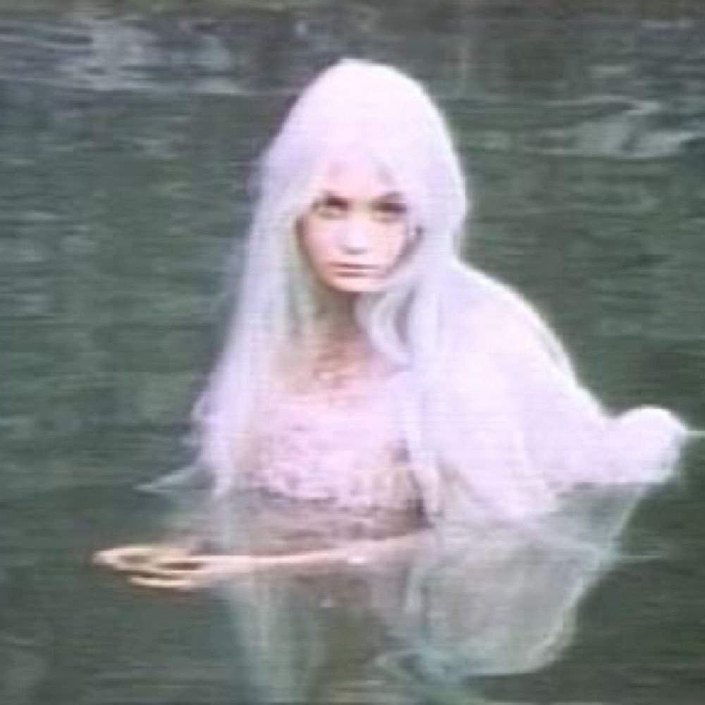 ✿༺ 𝒫𝒾𝓍𝒾𝑒 ༻✿