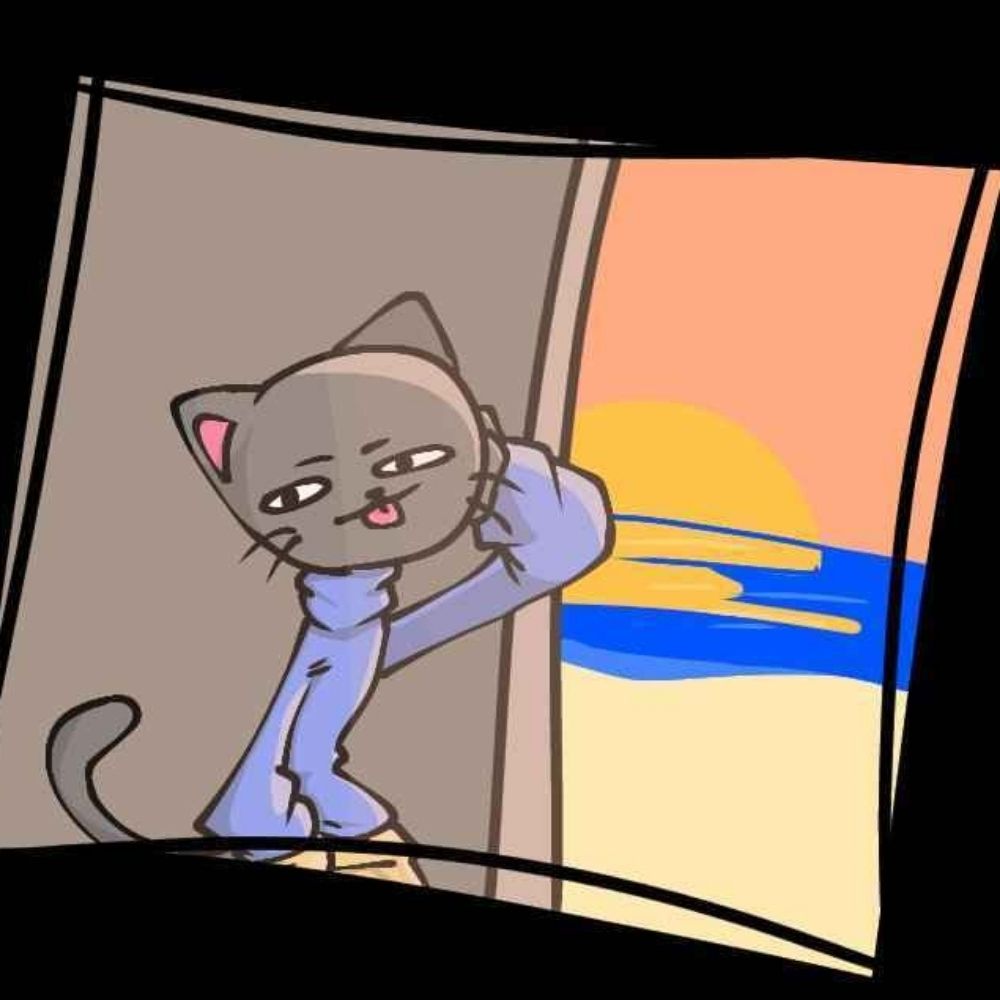 Grey Cat Turtle