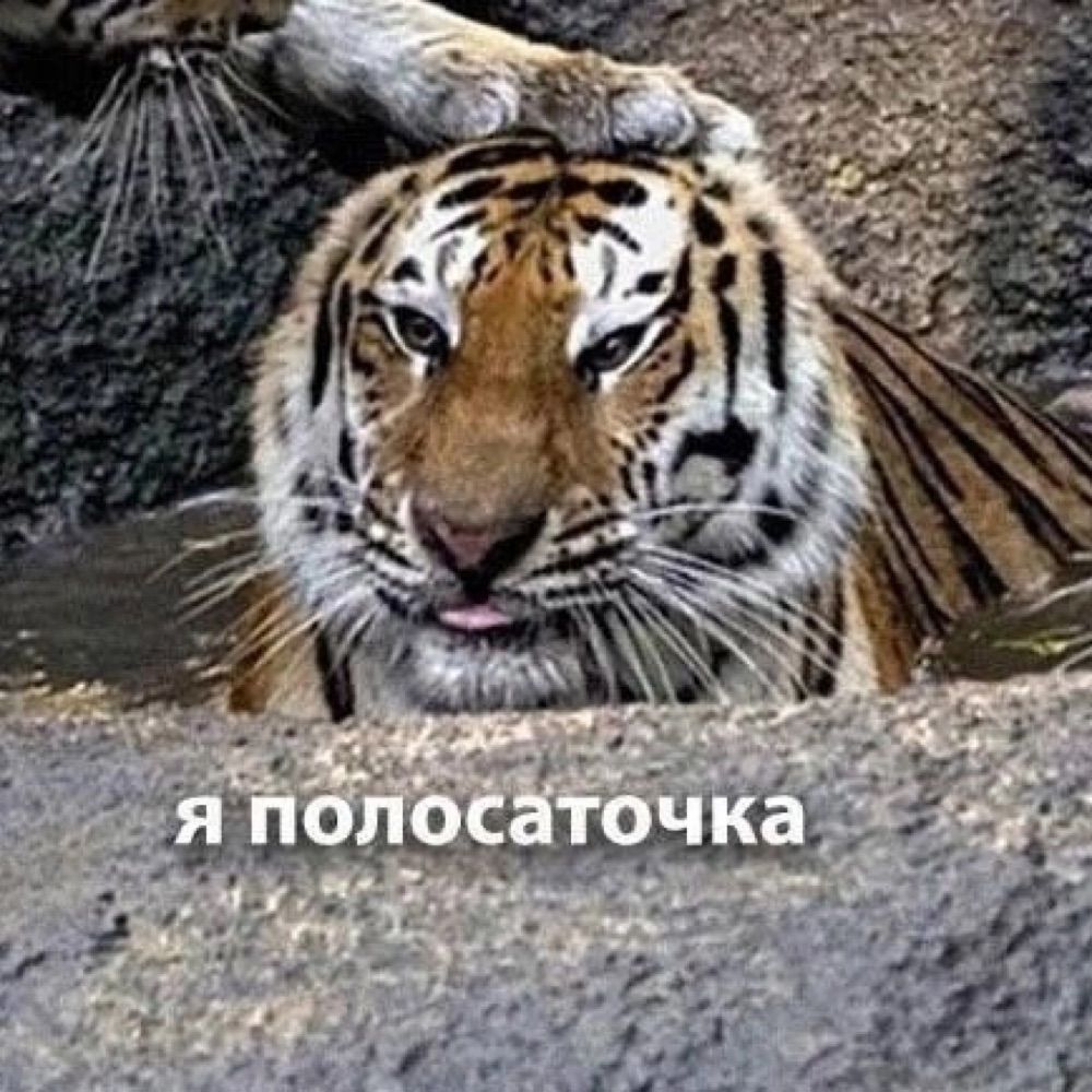 Алёна
