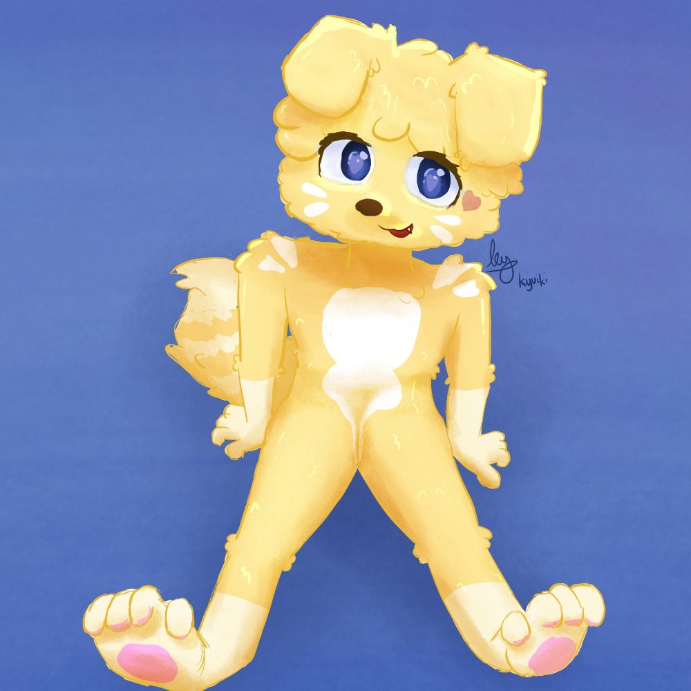 Kyuiki🐾