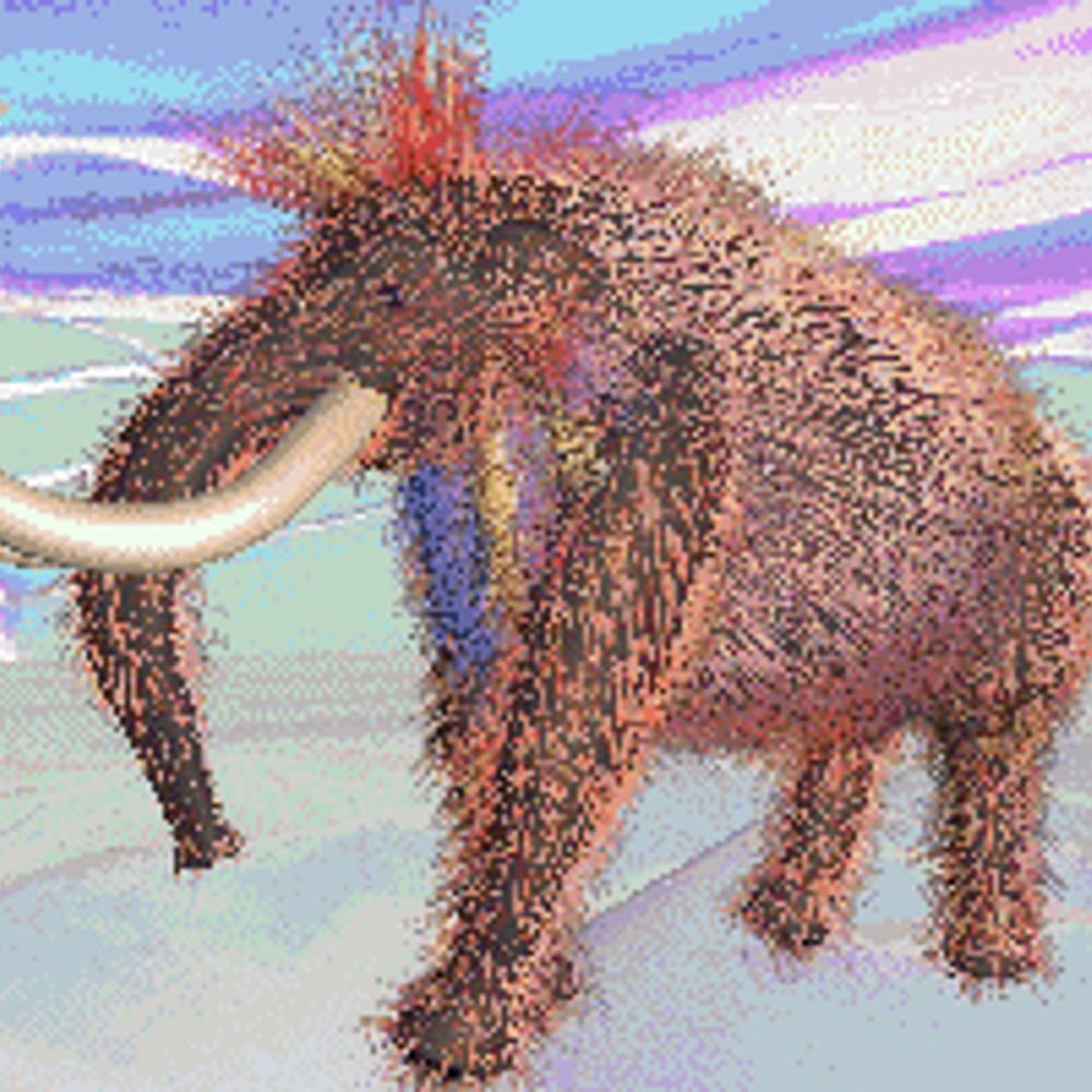 anonymous proboscidea