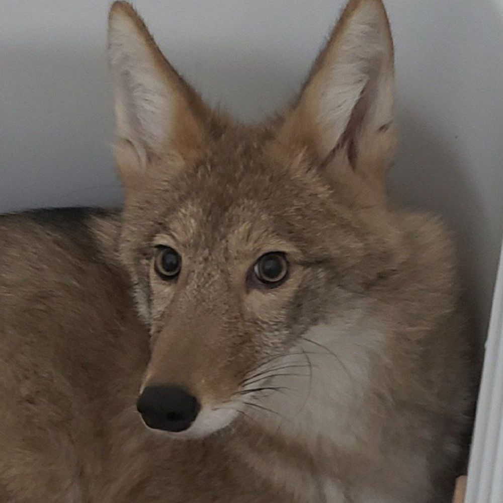 verminvermin.bsky.social