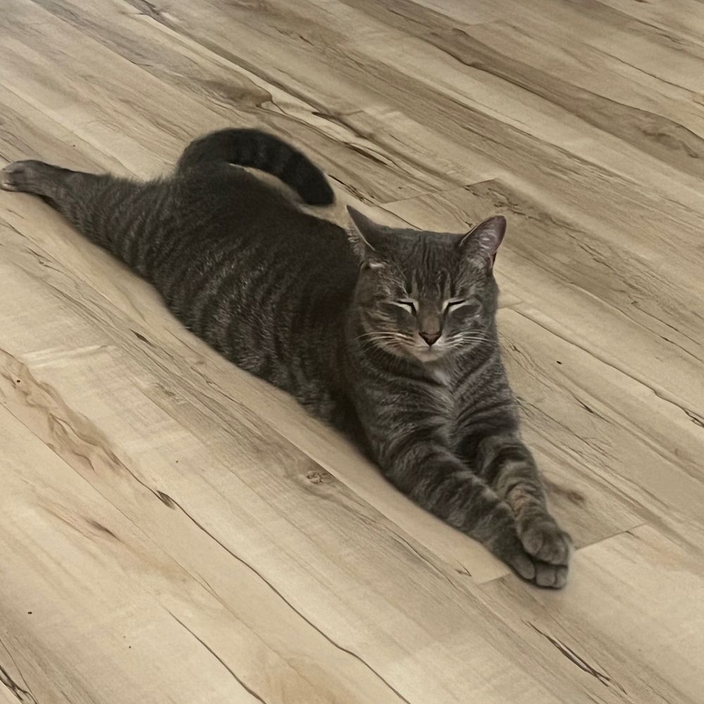 Tara