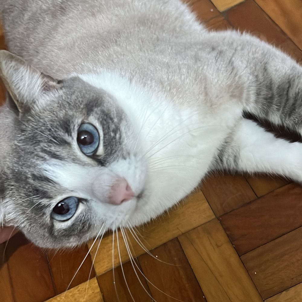 Ma